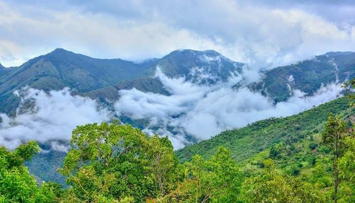 Montagne de Kotagiri