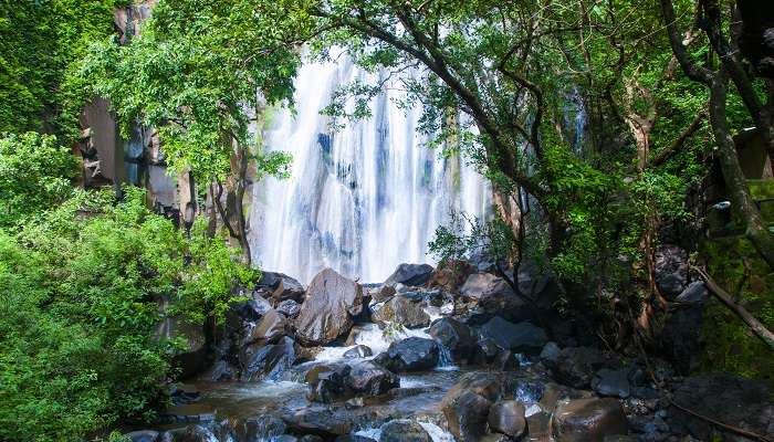 One of the best tourist places in Thodupuzha