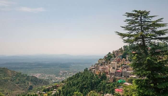 La belle vue de Mcleodganj