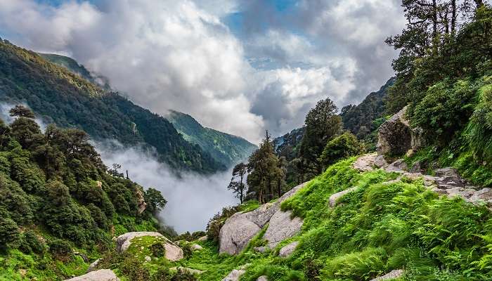 Triund Trek à Mcleodganj, c'est l'un des meilleur, lieux à visiter en Inde en été