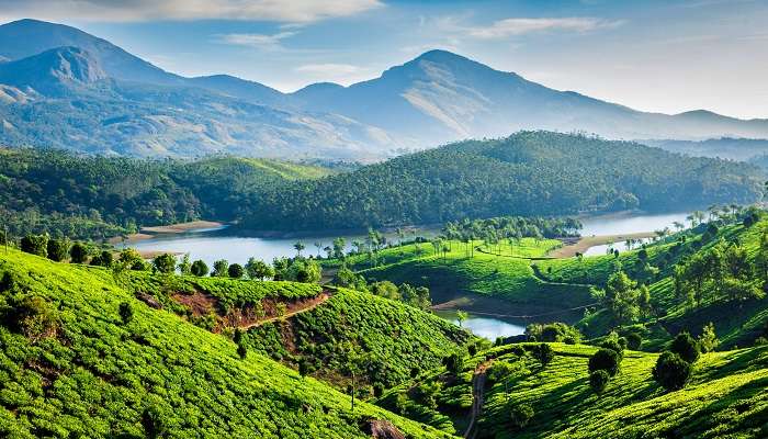 Explorez la magnifique verdure de Munnar, l'un des meilleur Lieux à visiter en Inde en avril