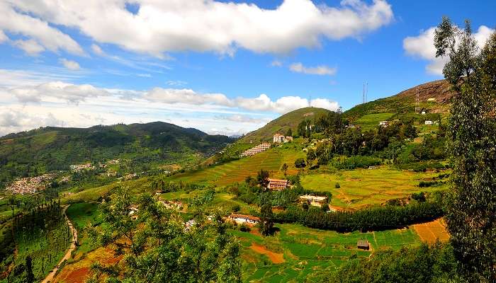 Profitez la vue incroyable d'ooty