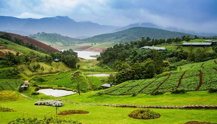 admirez la magnifique verdure d'ooty, c'est l'un des meilleur lieux à visiter en Inde en été