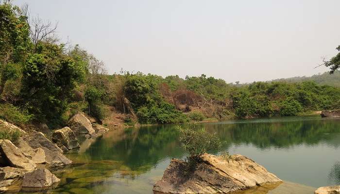 Parc national de Balpakaram à Meghalaya