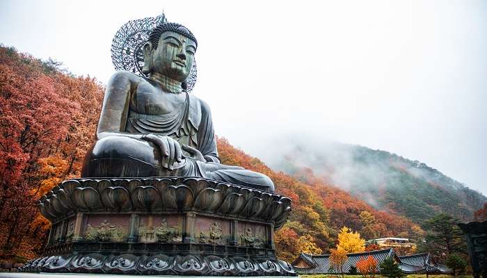 Explorez le monument de Buddha dans la parc de national de Seoraksan en Corée du Sud