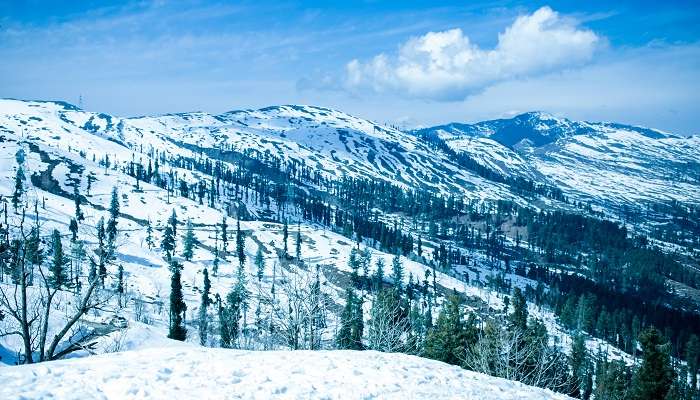 Imbibe the serenity of Patnitop while exploring the best places to visit in Udhampur