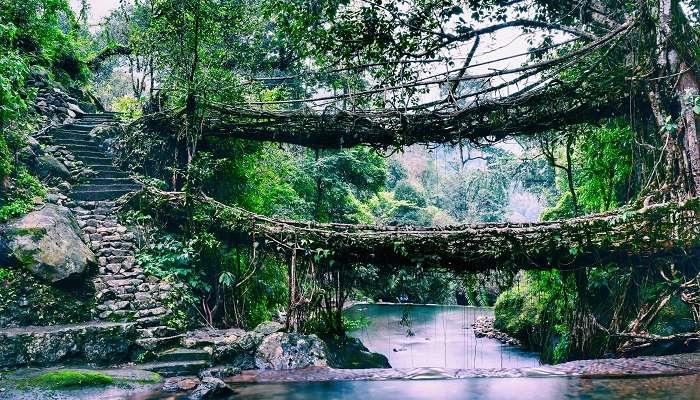 Pont racine vivant à deux étages est plus célèbre lieux à visiter 