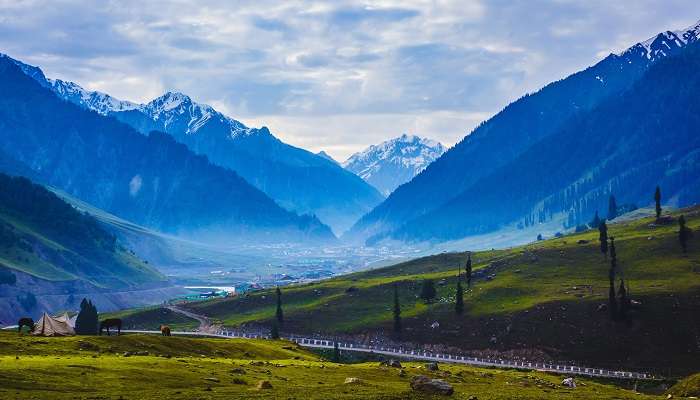 Experience the subtle meadows in Sonamarg, an amazing place to visit in Kashmir in July.