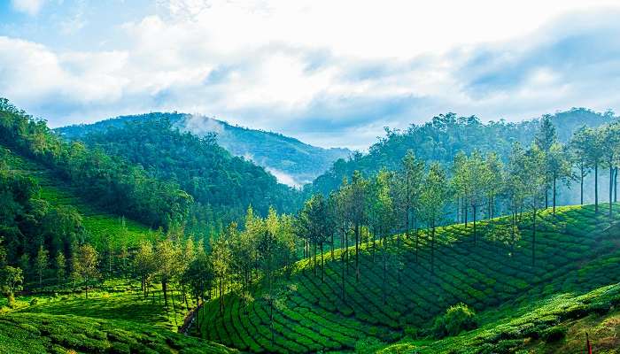 Thekkady est l'un des meilleur lieux à visiter en Inde en été