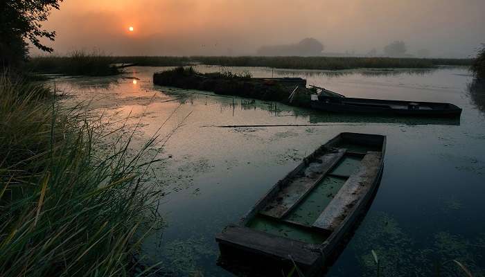 Upo Marsh est l'un des meilleure Upo,Marsh,