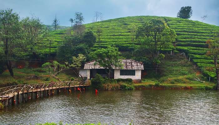 Vagamon est l'un des meilleur lieux à visiter en Inde en été