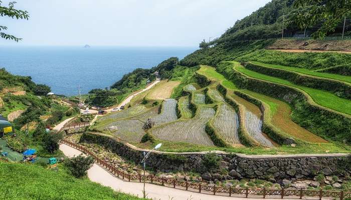 L'un des meilleure lieux à visiter en Corée du Sud