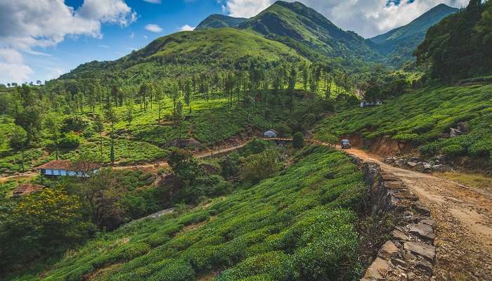 Wayanad est l'un des meilleur Lieux à visiter en Inde en avril