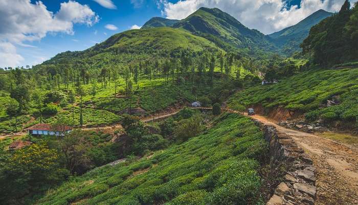 Wayanad est l'un des meilleur lieux à visiter en Inde en été