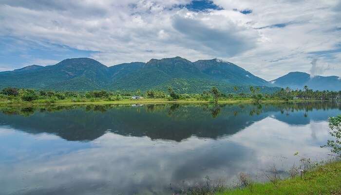 Porter la mémoire incroyable de yercaud