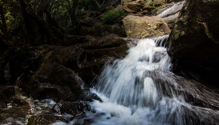 vue des chutes de Kiliyur à Yercaud, c'est l'un des meilleur lieux à visiter en Inde en été