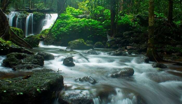 La belle Vue de cascades en Agumbe, c'est l'un des meilleur endroits à visiter en août en Inde