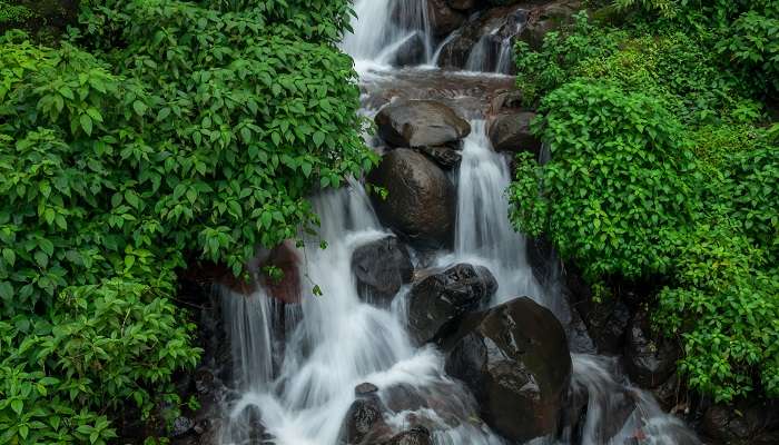 La magnifique vue de Cascades d'Amboli, C'est l'un des meilleur lieux à visiter à Konkan 