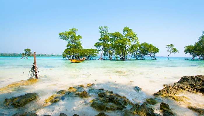 vue imprenable sur la plage de l'île Havelock. c'est l'un des meilleur lieux à visiter en janvier en Inde 