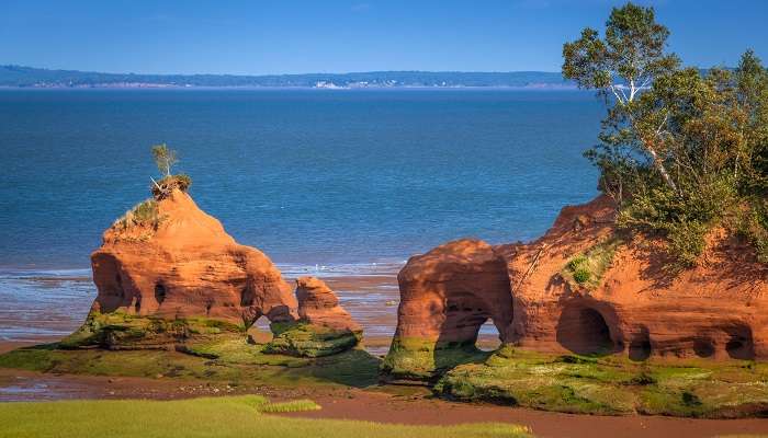 Explorez la Baie de fundy, c'est l'une des meilleurs endroits à visiter au Canada