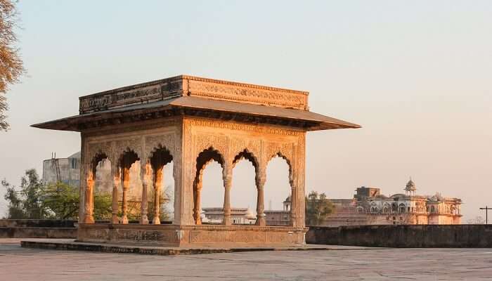 Bharatpur est l'un des meilleur lieux à visiter près de Chandigarh