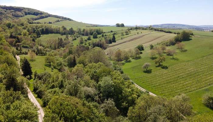 Bois de Vienne est l'un des meilleur lieux à visiter en Autriche