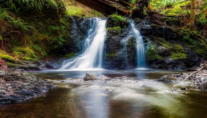 Cascades de Manjehalli est l'un ds meilleur lieux à visiter à Sakleshpur 