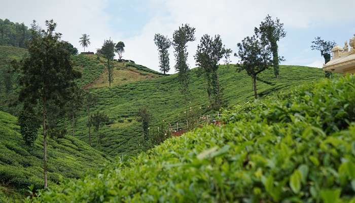 Chikmagular est une station de montagne du Karnataka