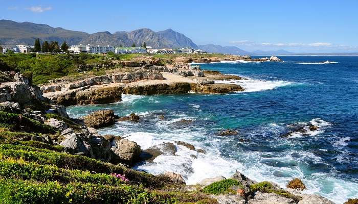 Belle côte de l'océan Atlantique à Hermanus avec des vagues