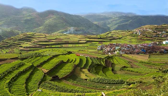 Explorez la magnifique vue verte de Kodaikanal, c'est l'un des meilleur endroits à visiter en août en Inde