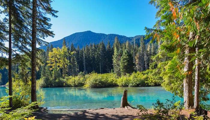 Vue majestueuse sur la montagne Cheakamus