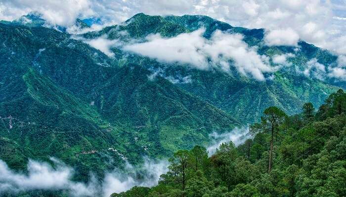 Landsdowne est belle stations de montagne, c'est 'un des meilleur lieux à visiter près de Chandigarh