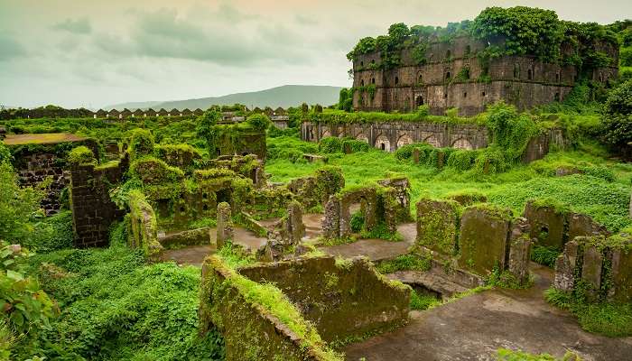 Explorez la fort de Murud