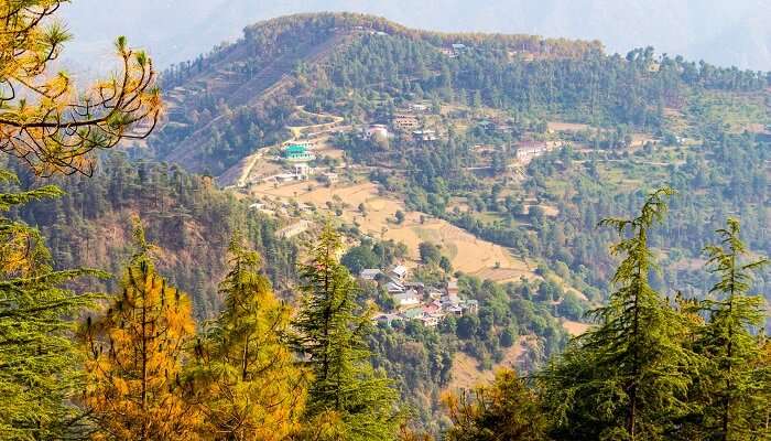 Naldehra, la stations de momtagne, c'est l'un des meilleur lieux à visiter près de Chandigarh