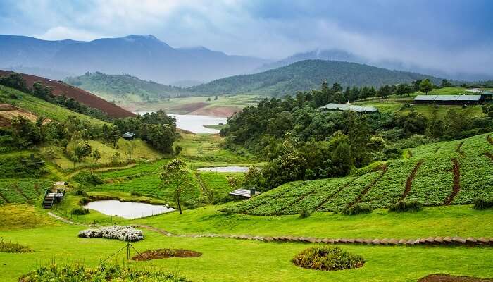 Ooty est l'un des meilleur endroits à visiter en août en Inde