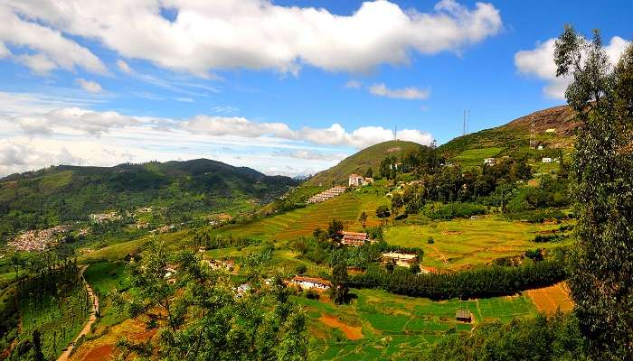 Ooty la belle stations de montagne, c'est l'une des meilleur lieux à visiter en janvier en Inde 