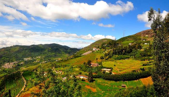 La belle stations de momntagne d'Ooty,