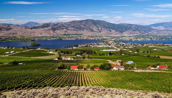 vue sur la petite ville d'Osoyoos et le lac Osoyoos