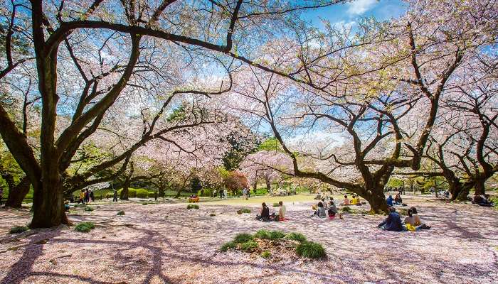 Parc d'Ueno est l'une des Explorez le château d'Osaka à Osaka, c'est l'un des meilleurs endroits à visiter au Japon