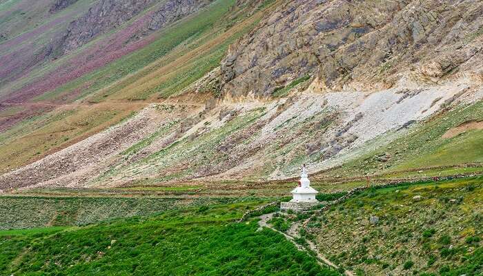 Explorez la Parc national de Pin Valley, c'est l'un des meilleur lieux à visiter près de Chandigarh