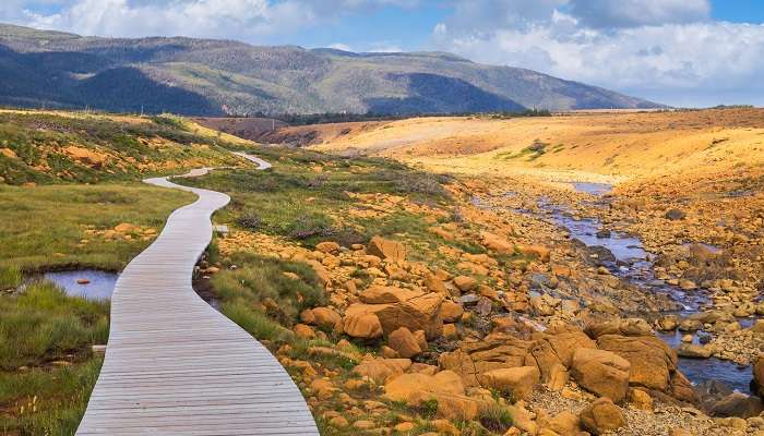 Explorez la parc national du Gros Morne, c'est l'une des meilleurs endroits à visiter au Canada 