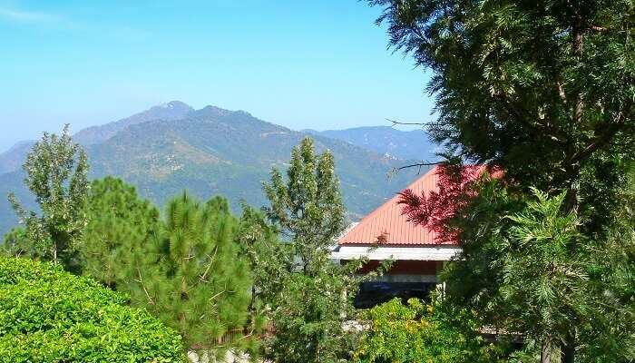 La vue pittoresque de Parwanoo, c'est l'un des meilleur lieux à visiter près de Chandigarh 