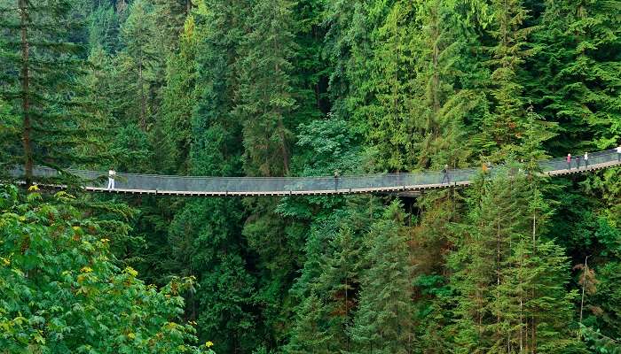 Pont suspendu de Capilano.c'est l'une des meilleurs endroits à visiter au Canada 