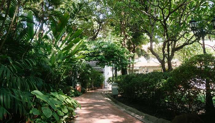 Le parc commémoratif de la princesse mère est l'un des meilleurs endroits à visiter à Bangkok