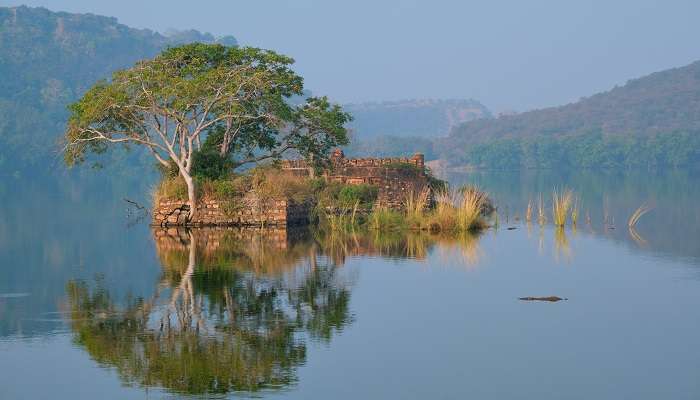 matin serein sur le lac Padma,