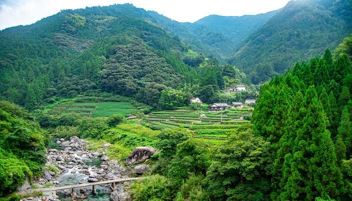 La belle vue verdoyante de Shikoku, c'est l'un des meilleurs endroits à visiter au Japon 