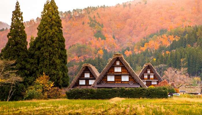 meilleurs endroits à visiter au Japon au printemps