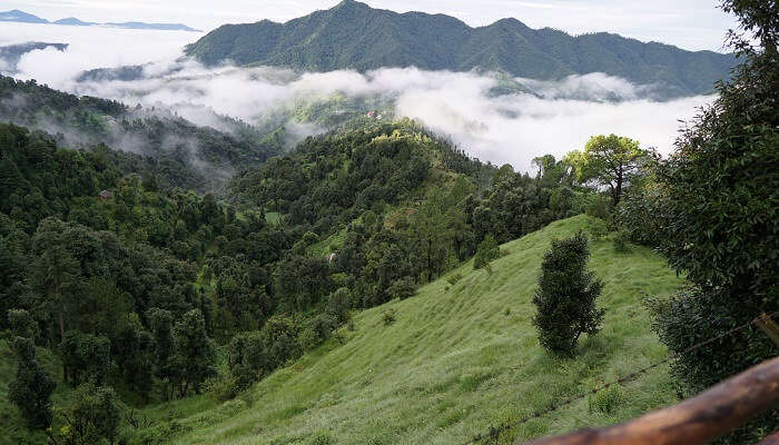 Shoghi est l'un des meilleur lieux à visiter près de Chandigarh