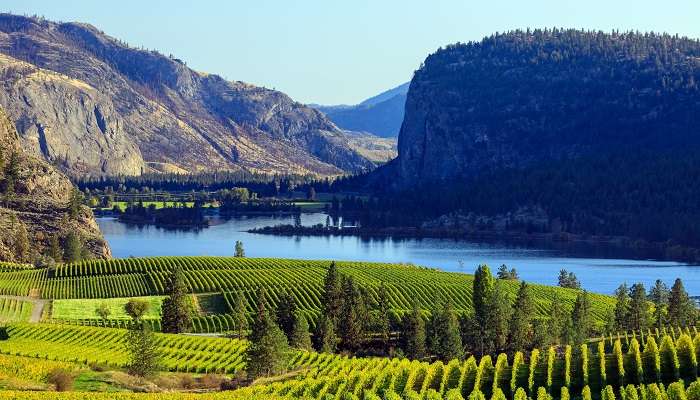 La vue de montagne bleue dans la vallée de l'Okanagan, c'est l'une des meilleurs endroits à visiter au Canada