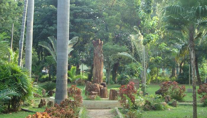 Jardin botanique de Pondichéry, c'est l'une des meilleur lieux à visiter à Pondichéry